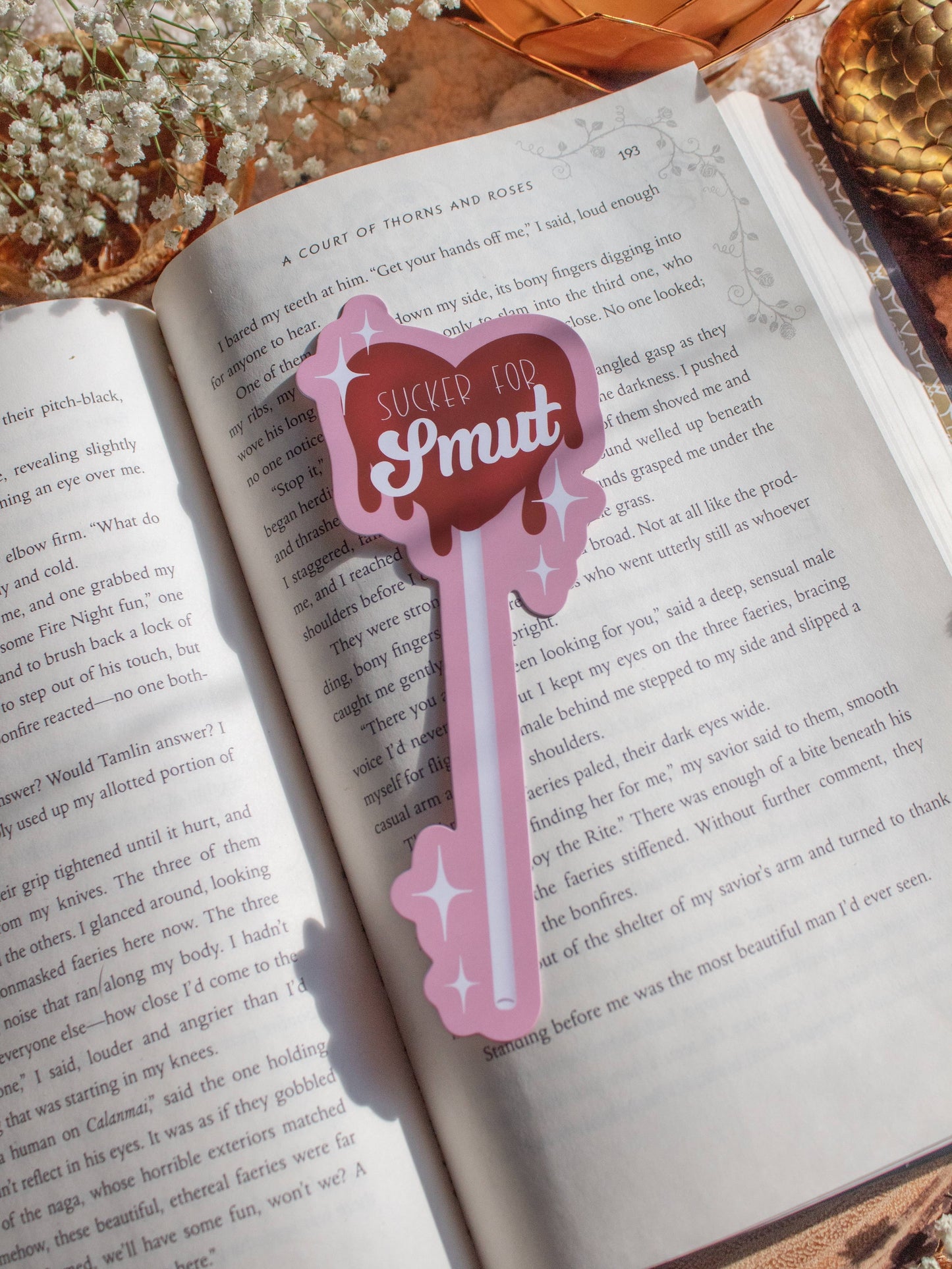 Sucker for Smut Bookmark | Soft Touch