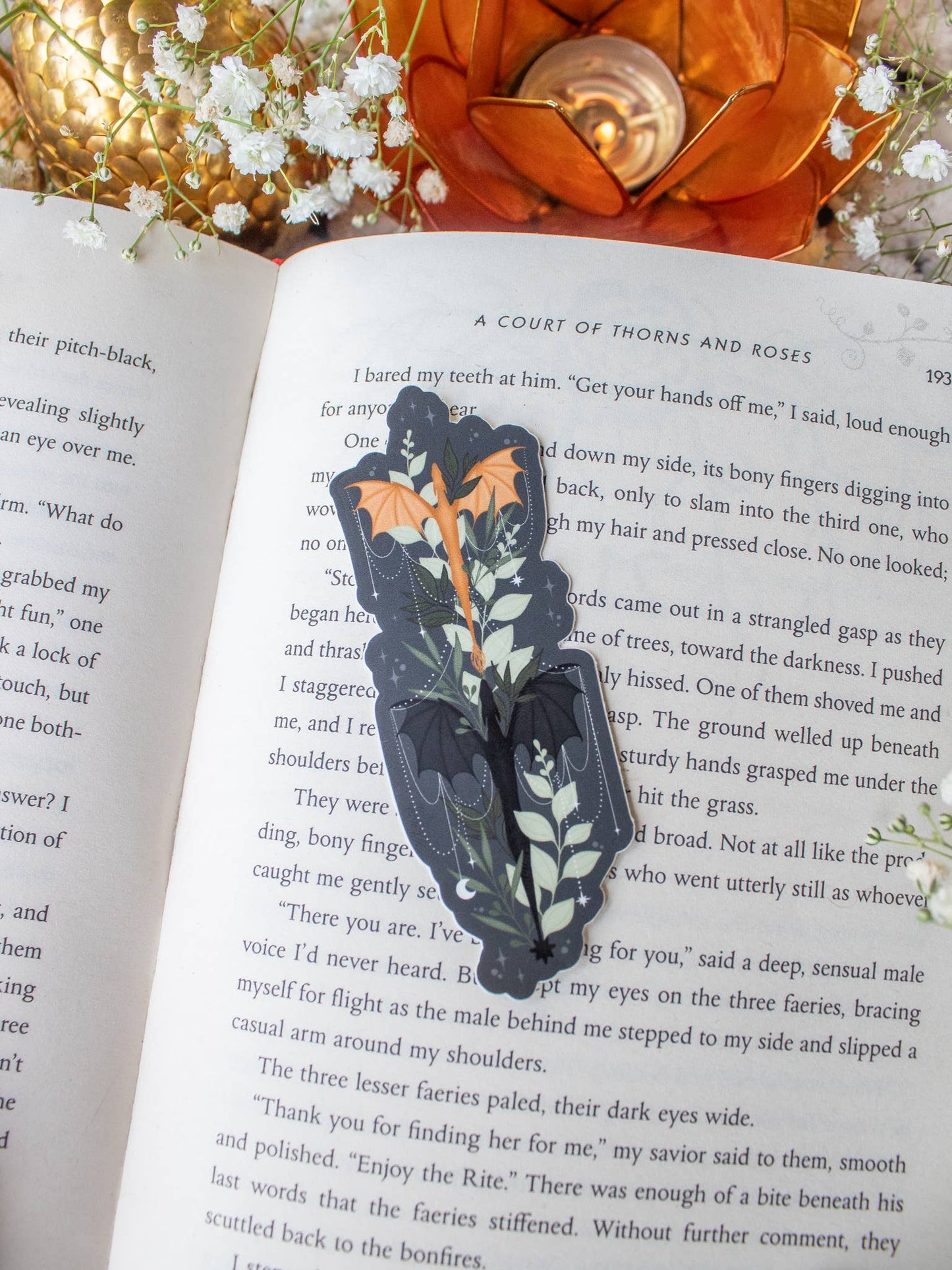 Fourth Wing | Tairn and Andarna