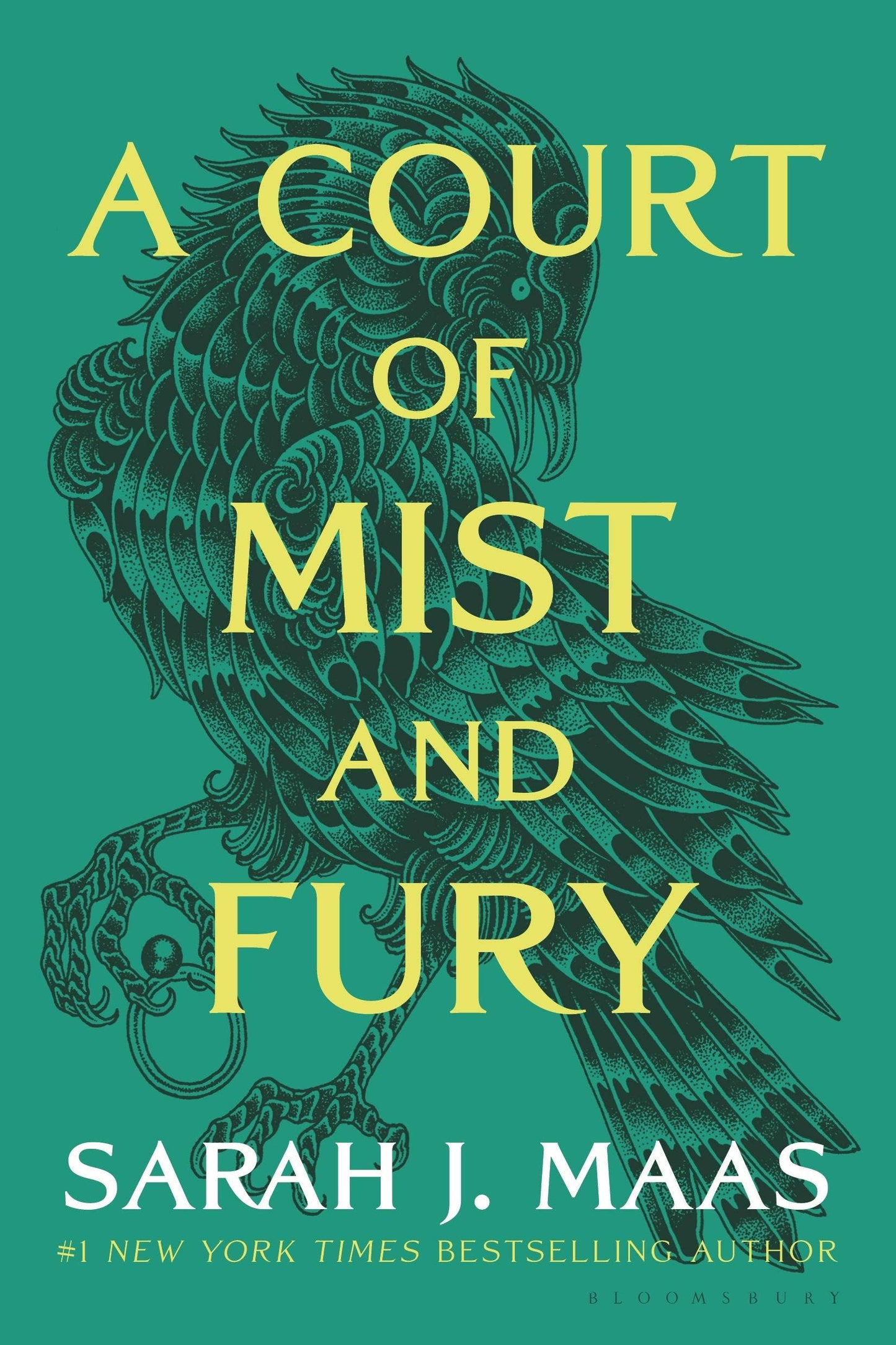 Court Of Mist And Fury Adult